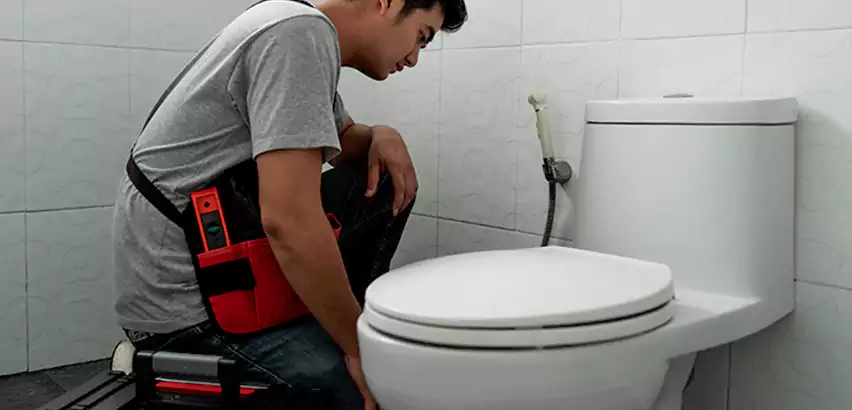 Toilet Repair in Greenfield