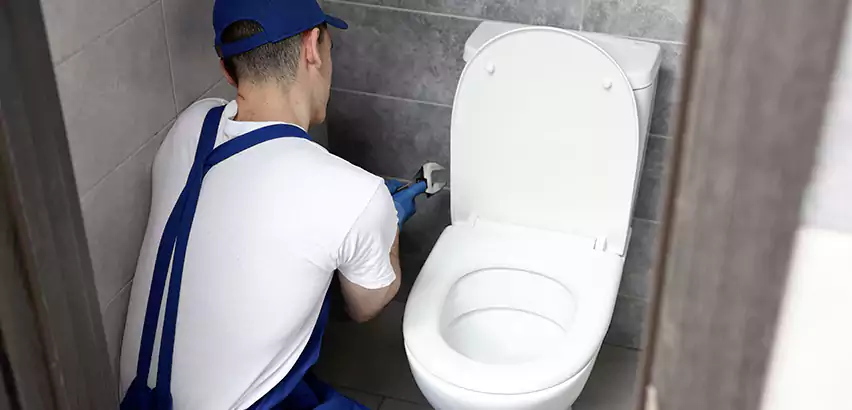 Toilet Lid Replacement in Greenfield