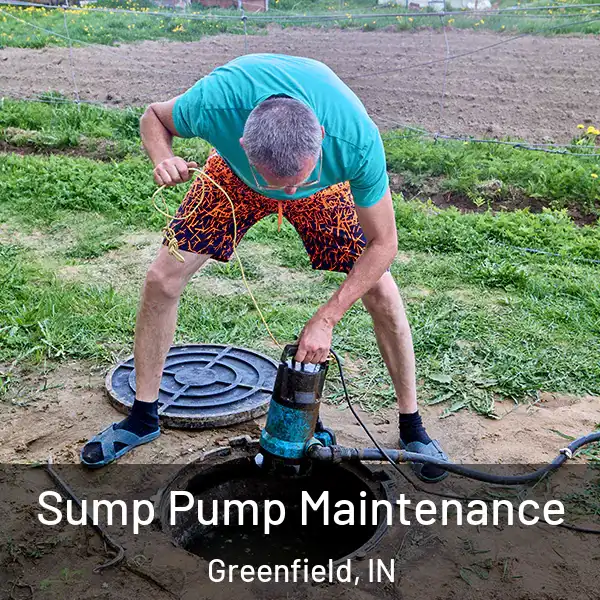  Sump Pump Maintenance Greenfield, IN